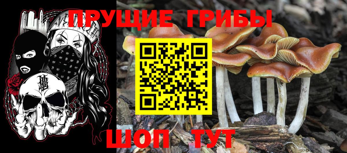 Галлюциногенные грибы MAGIC MUSHROOMS Луга